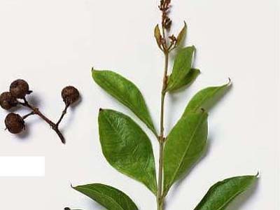 Χένα για όλες τις χρήσεις